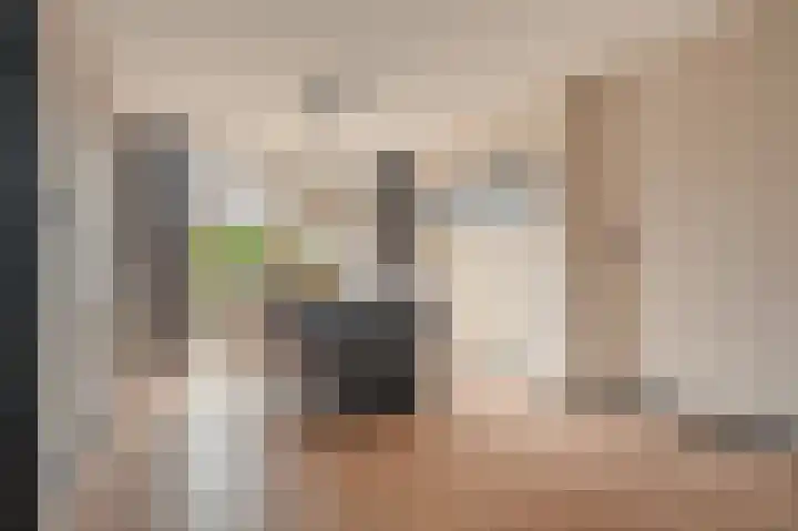 Wollegras 14 Nieuw-Buinen thumbnail 15