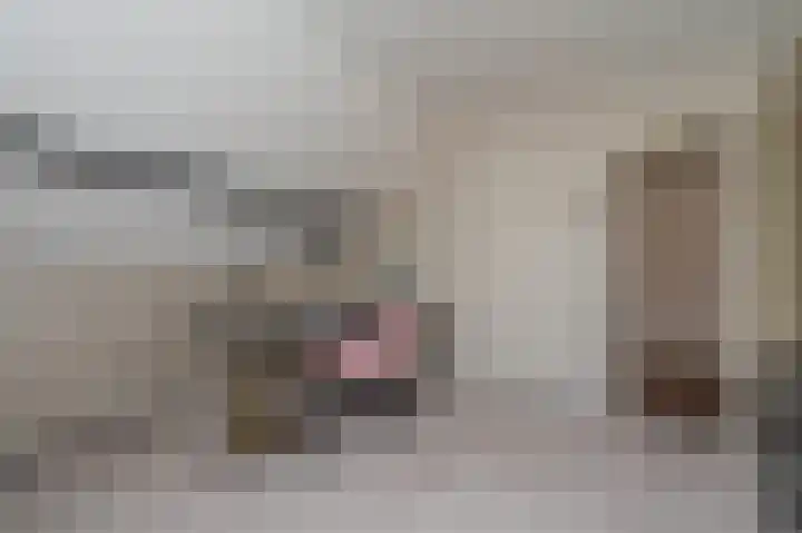 Wollegras 14 Nieuw-Buinen thumbnail 36