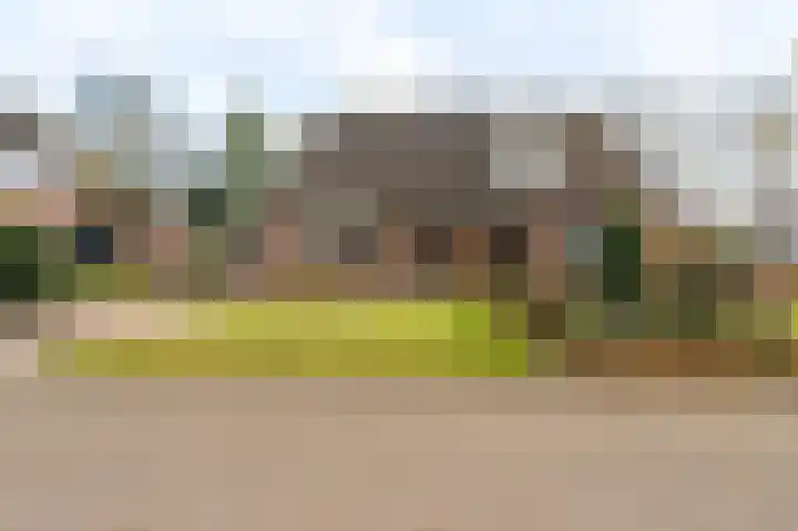 Wollegras 14 Nieuw-Buinen thumbnail 4