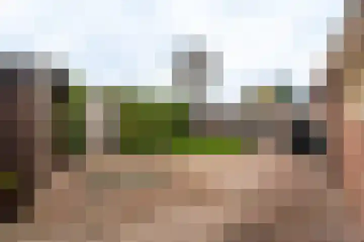 Wollegras 14 Nieuw-Buinen thumbnail 7