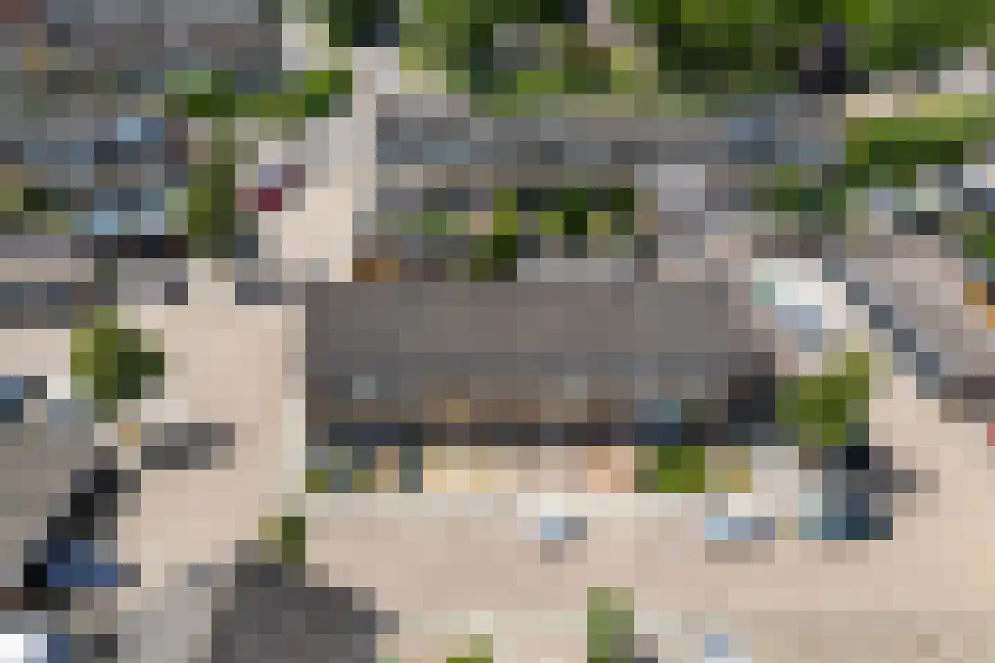 Wollegras 16 Kampen thumbnail 14