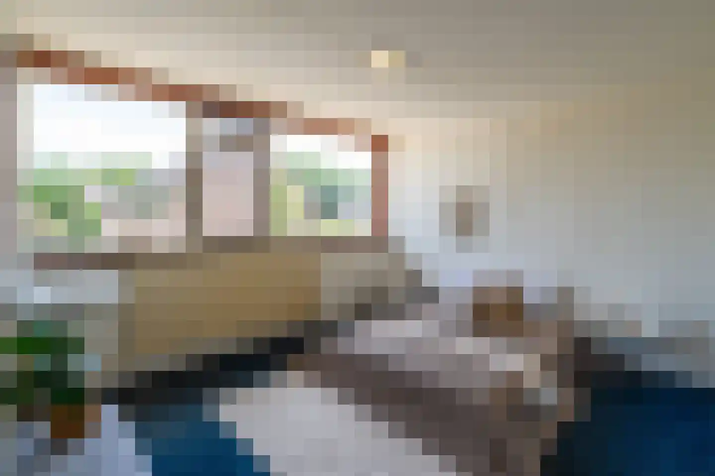 Wollegras 16 Kampen thumbnail 43