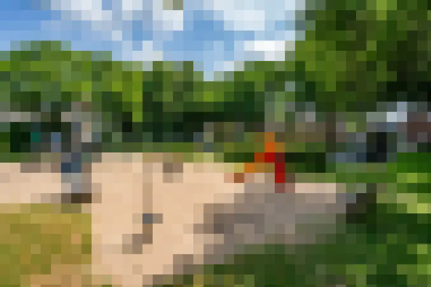 Wollegras 16 Kampen thumbnail 55