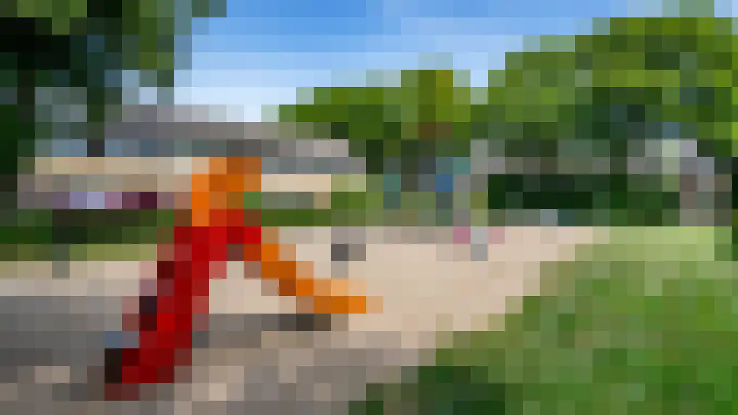 Wollegras 16 Kampen thumbnail 56