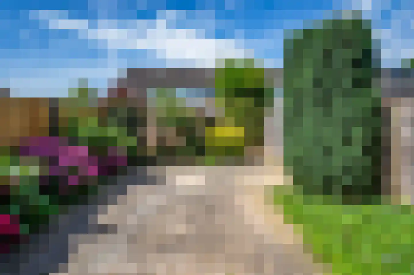 Wollegras 16 Kampen thumbnail 6