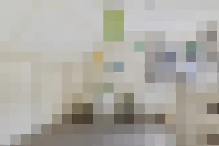 Wollegras 16 Nieuw-Buinen thumbnail 26