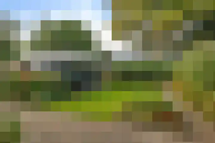 Wollegras 16 Nieuw-Buinen thumbnail 32