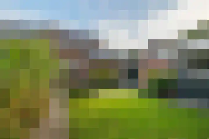 Wollegras 16 Nieuw-Buinen thumbnail 33