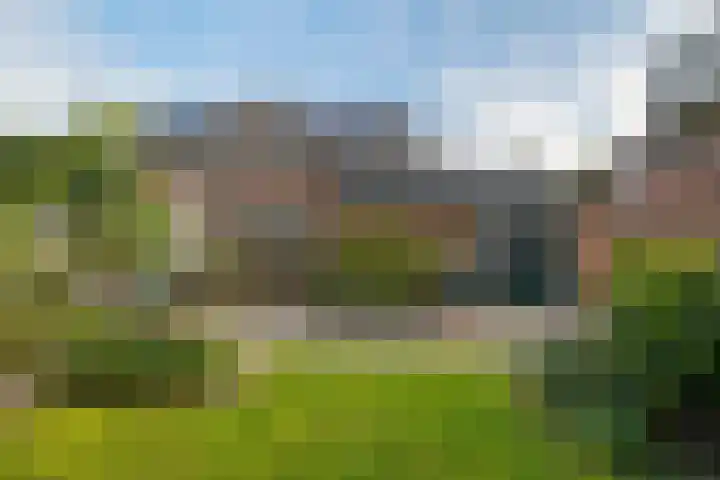 Wollegras 16 Nieuw-Buinen thumbnail 34