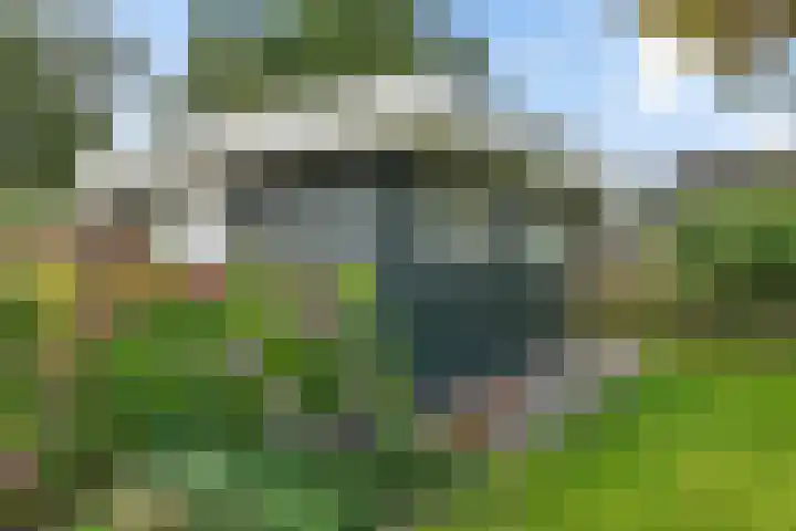 Wollegras 16 Nieuw-Buinen thumbnail 35