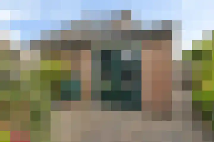 Wollegras 16 Nieuw-Buinen thumbnail 36