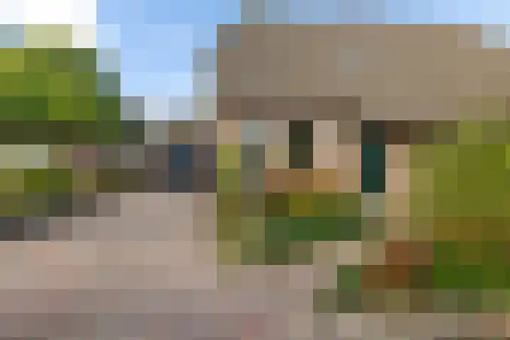 Wollegras 16 Nieuw-Buinen thumbnail 4