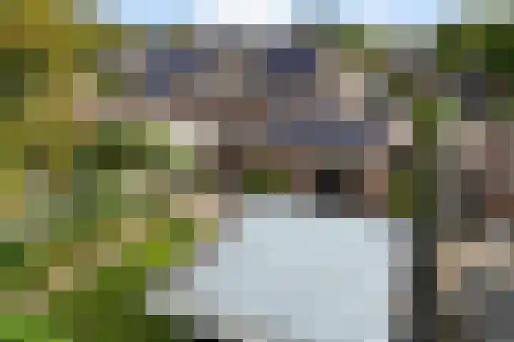 Wollegras 16 Nieuw-Buinen thumbnail 40