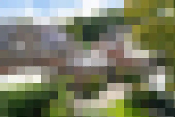 Wollegras 16 Nieuw-Buinen thumbnail 41