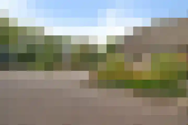 Wollegras 16 Nieuw-Buinen thumbnail 42