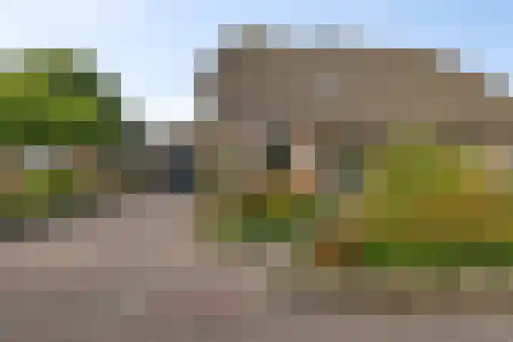 Wollegras 16 Nieuw-Buinen thumbnail 43