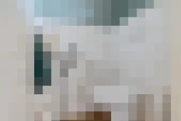 Wollegras 16 Nieuw-Buinen thumbnail 7