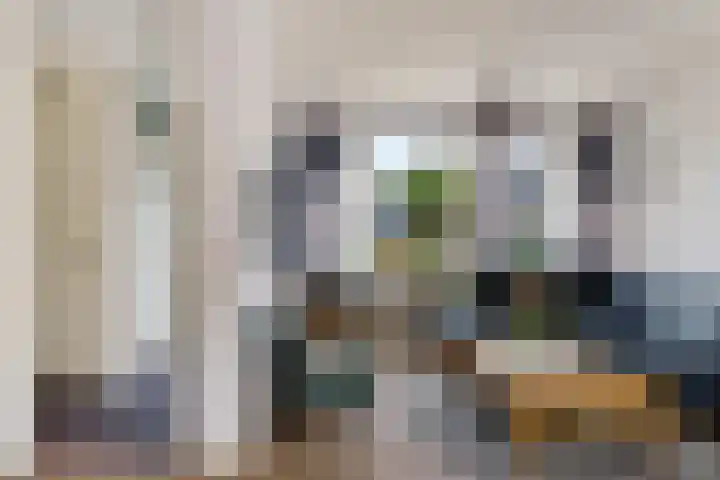 Wollegras 16 Nieuw-Buinen thumbnail 8