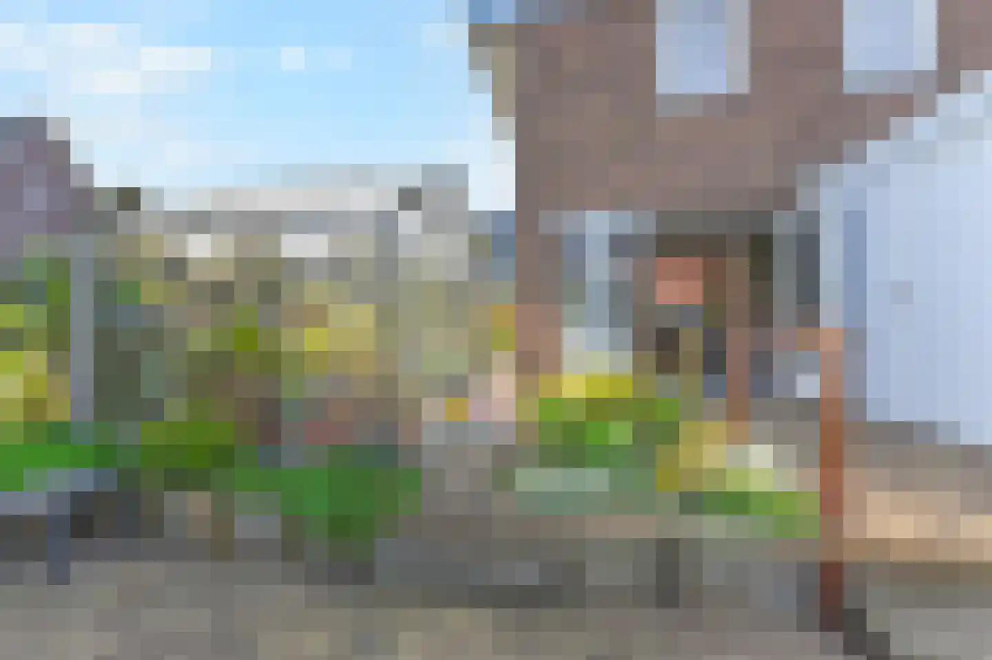 Wollegras 17 Den Haag thumbnail 14
