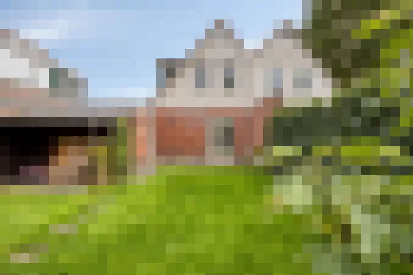 Wollegras 18 Wolvega thumbnail 22