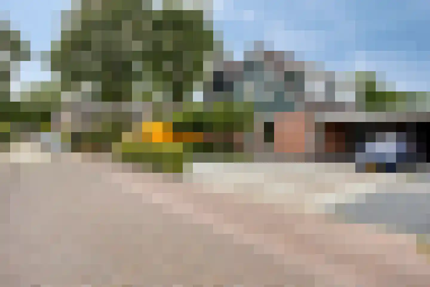 Wollegras 18 Wolvega thumbnail 28