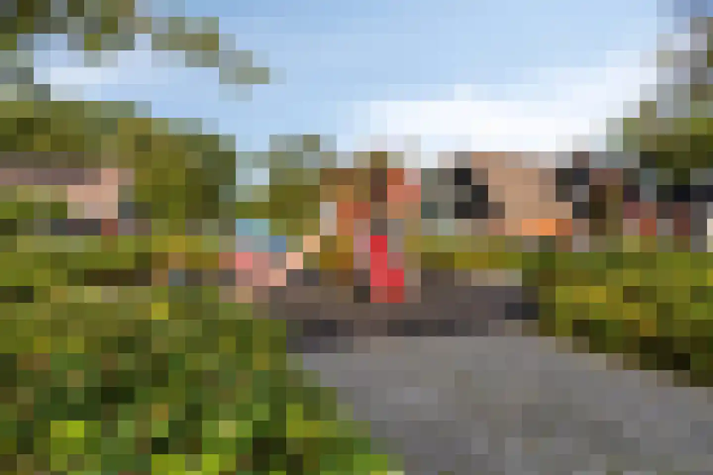 Wollegras 18 Wolvega thumbnail 30