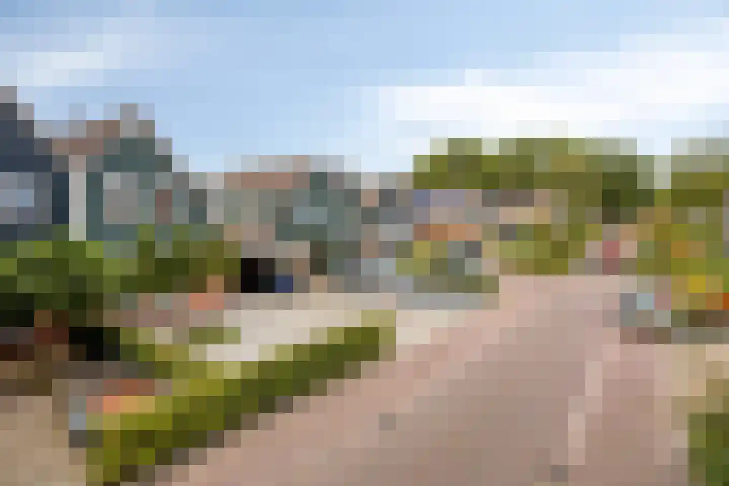 Wollegras 18 Wolvega thumbnail 33
