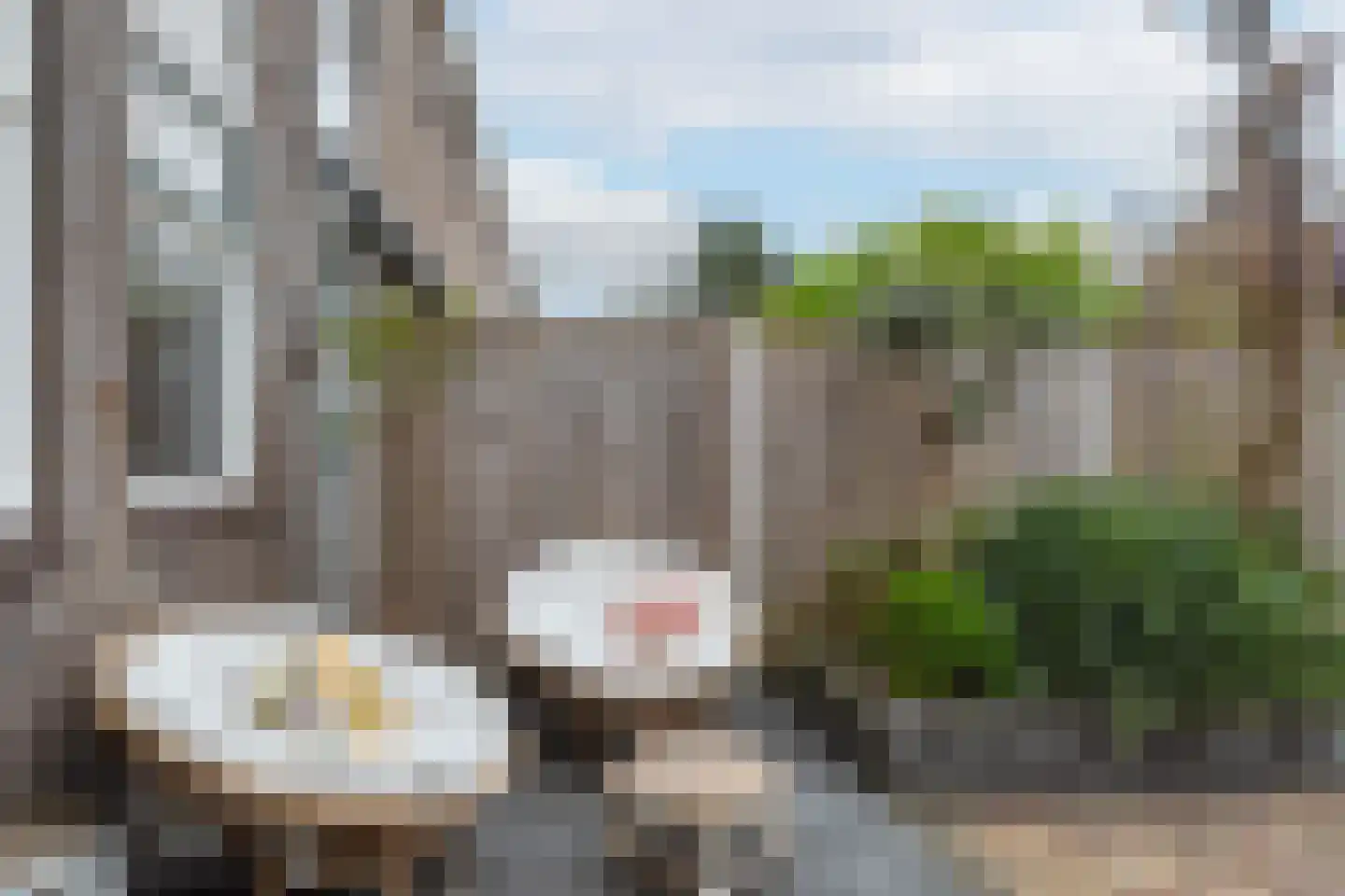 Wollegras 19 Naaldwijk thumbnail 13
