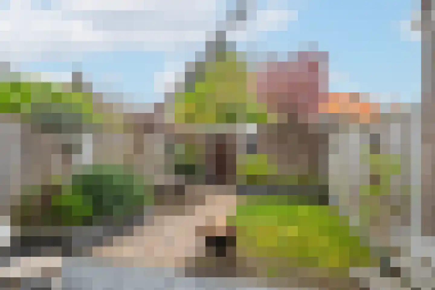 Wollegras 19 Naaldwijk thumbnail 4