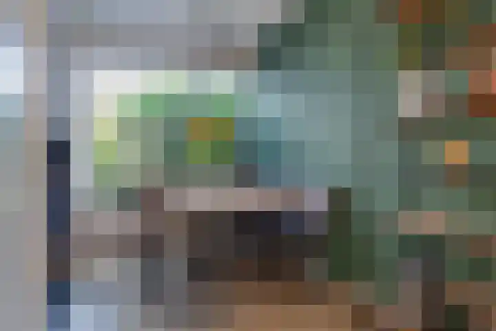 Wollegras 21 Emmen thumbnail 16