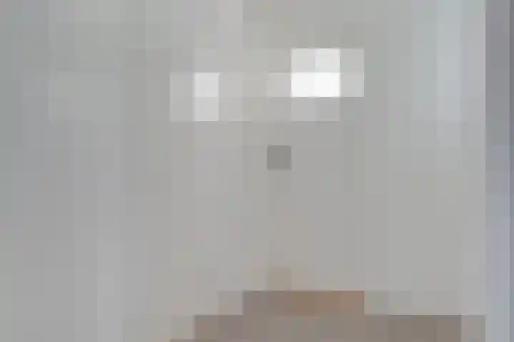 Wollegras 21 Emmen thumbnail 30
