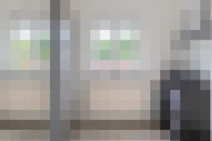 Wollegras 21 Emmen thumbnail 31