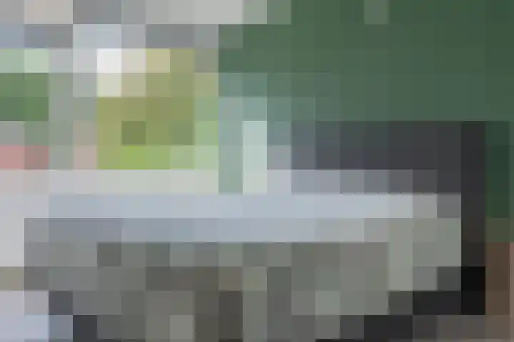 Wollegras 21 Emmen thumbnail 33