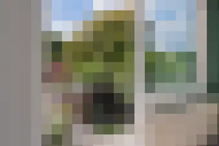 Wollegras 21 Emmen thumbnail 36