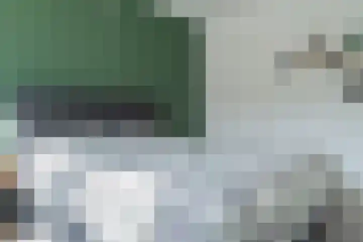 Wollegras 21 Emmen thumbnail 37