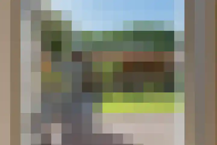 Wollegras 21 Emmen thumbnail 38