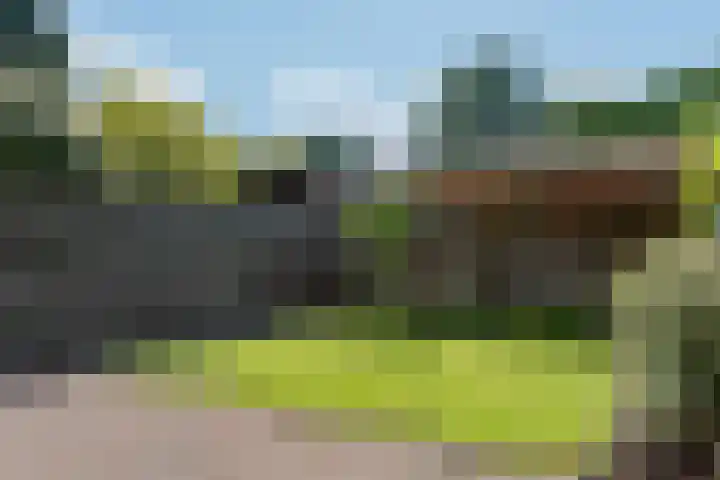 Wollegras 21 Emmen thumbnail 39