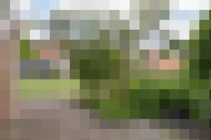 Wollegras 21 Emmen thumbnail 4