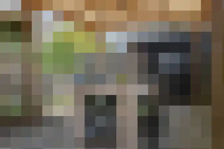 Wollegras 21 Emmen thumbnail 41