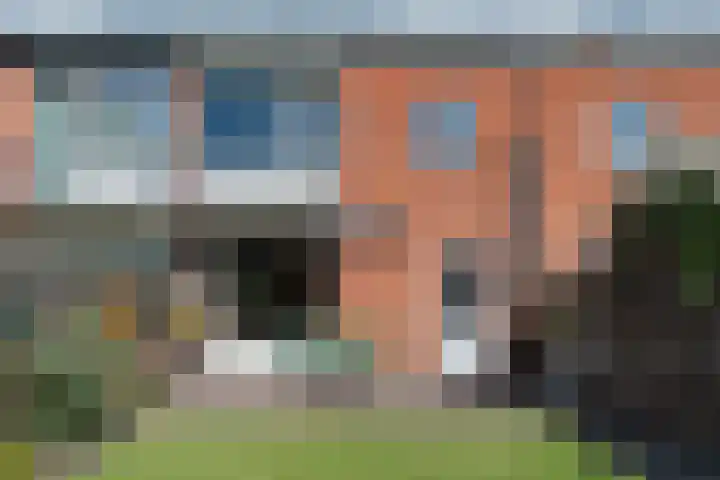 Wollegras 21 Emmen thumbnail 44