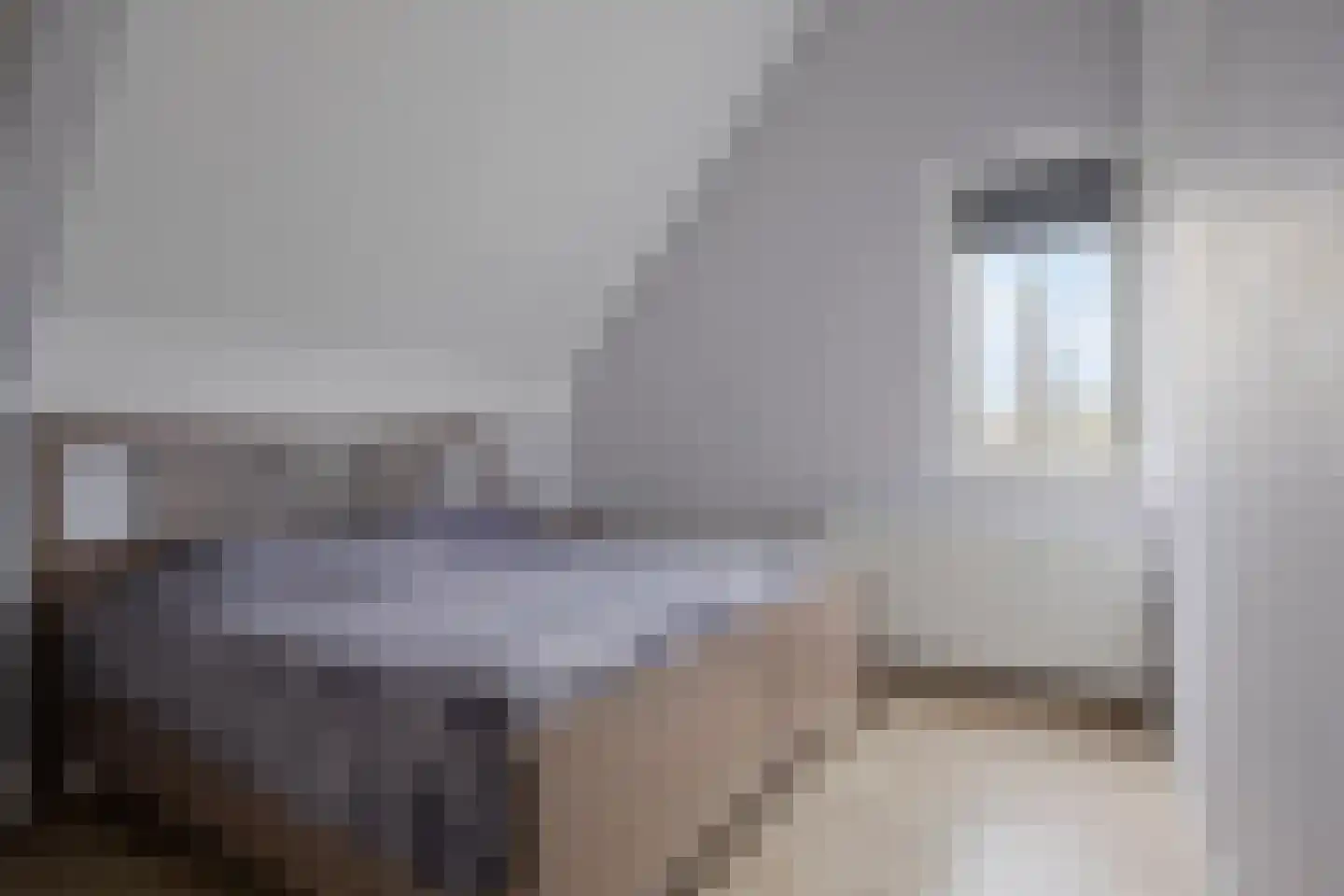 Wollegras 32 Boekel thumbnail 13
