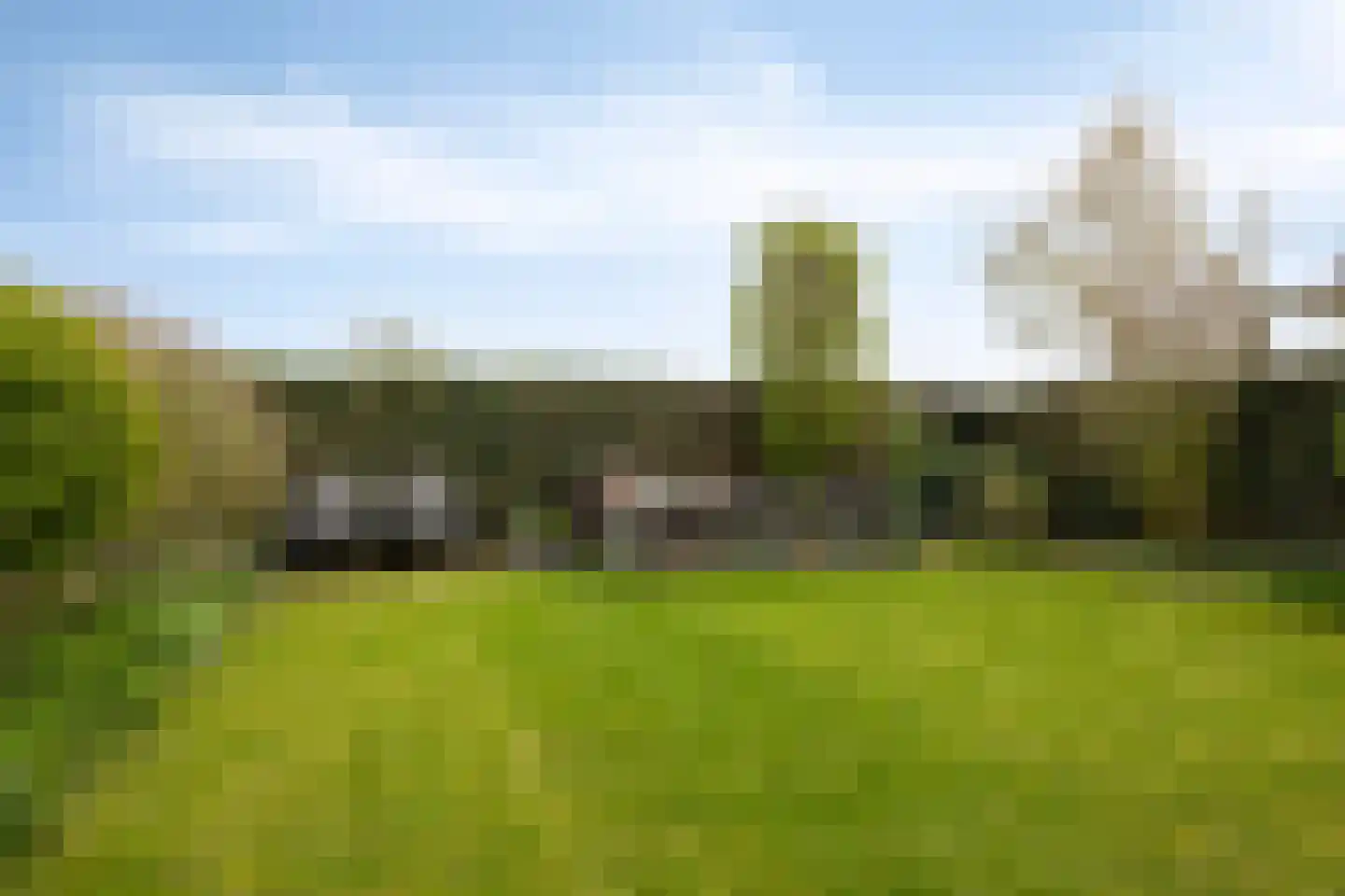 Wollegras 32 Boekel thumbnail 21