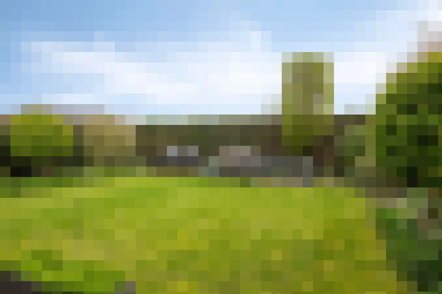 Wollegras 32 Boekel thumbnail 22
