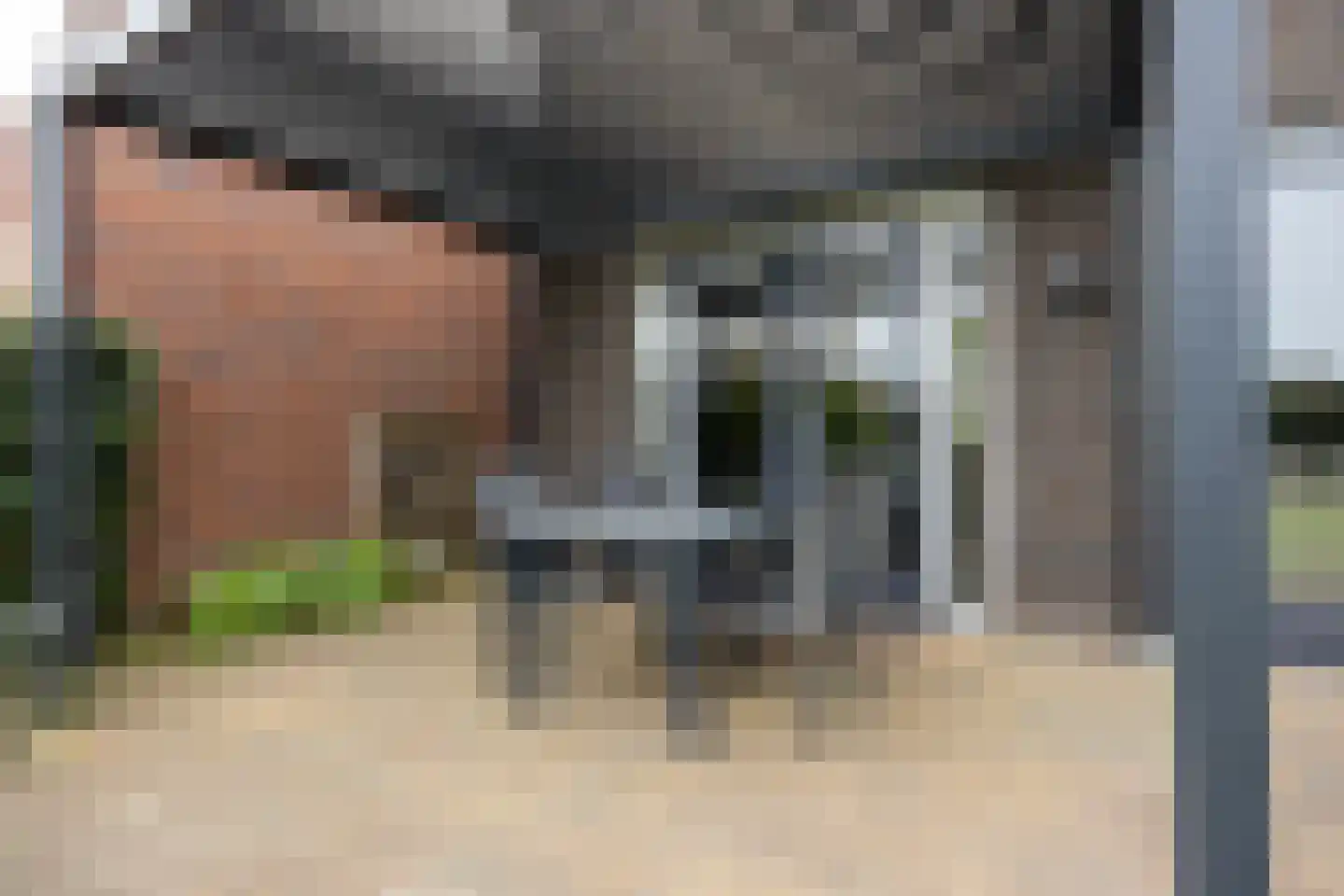 Wollegras 32 Boekel thumbnail 23