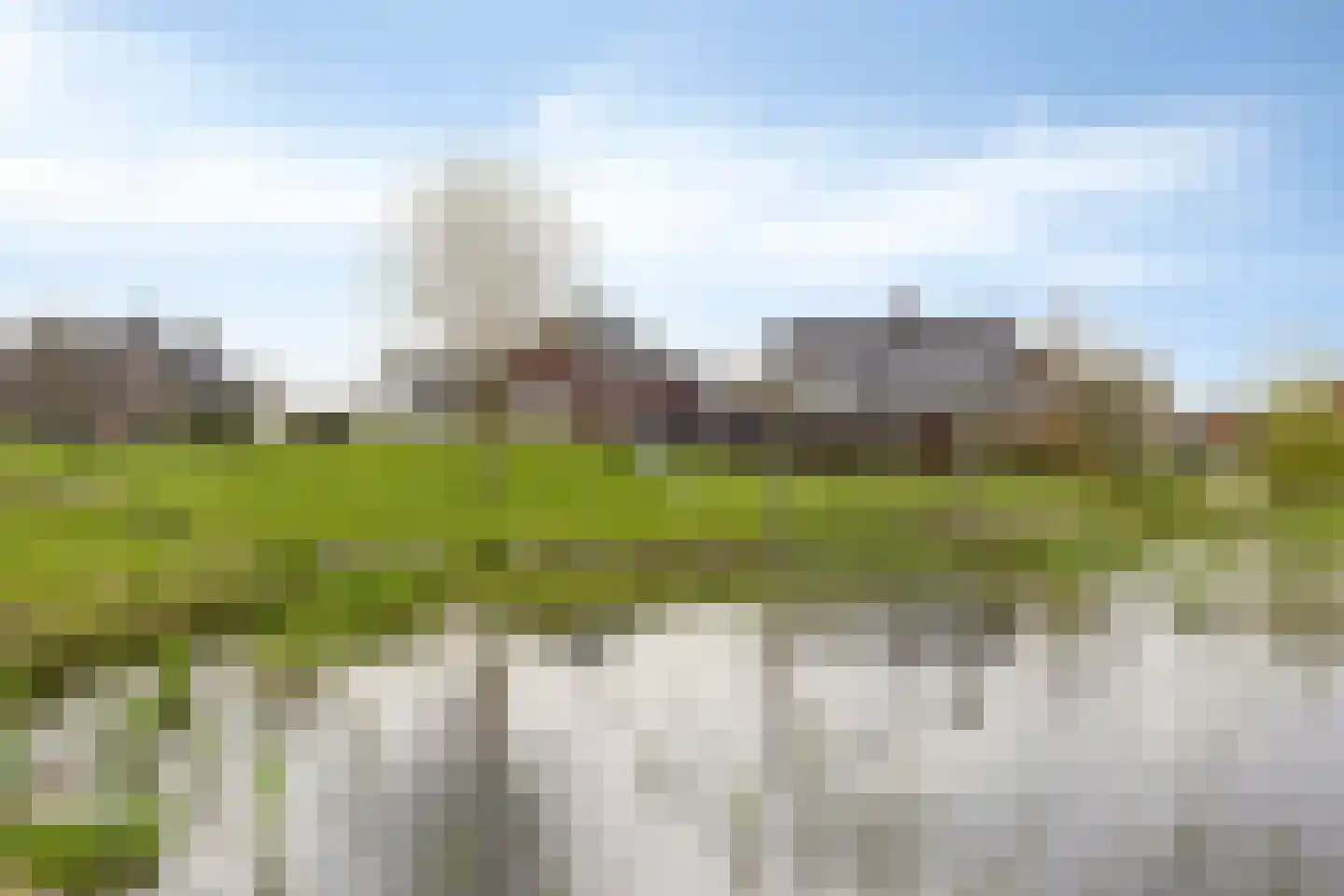 Wollegras 32 Boekel thumbnail 28
