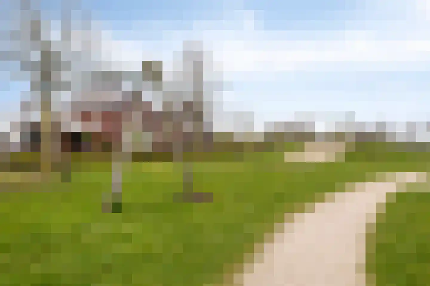 Wollegras 32 Boekel thumbnail 29