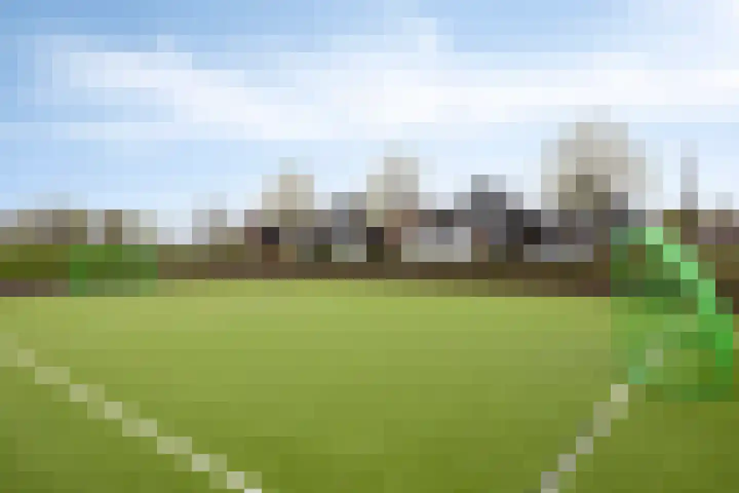 Wollegras 32 Boekel thumbnail 30