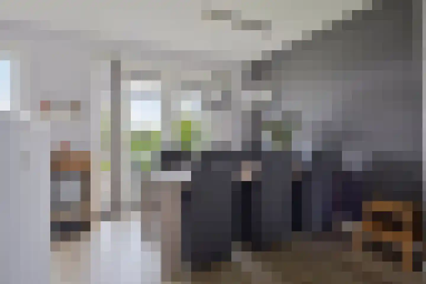 Wollegras 32 Boekel thumbnail 6