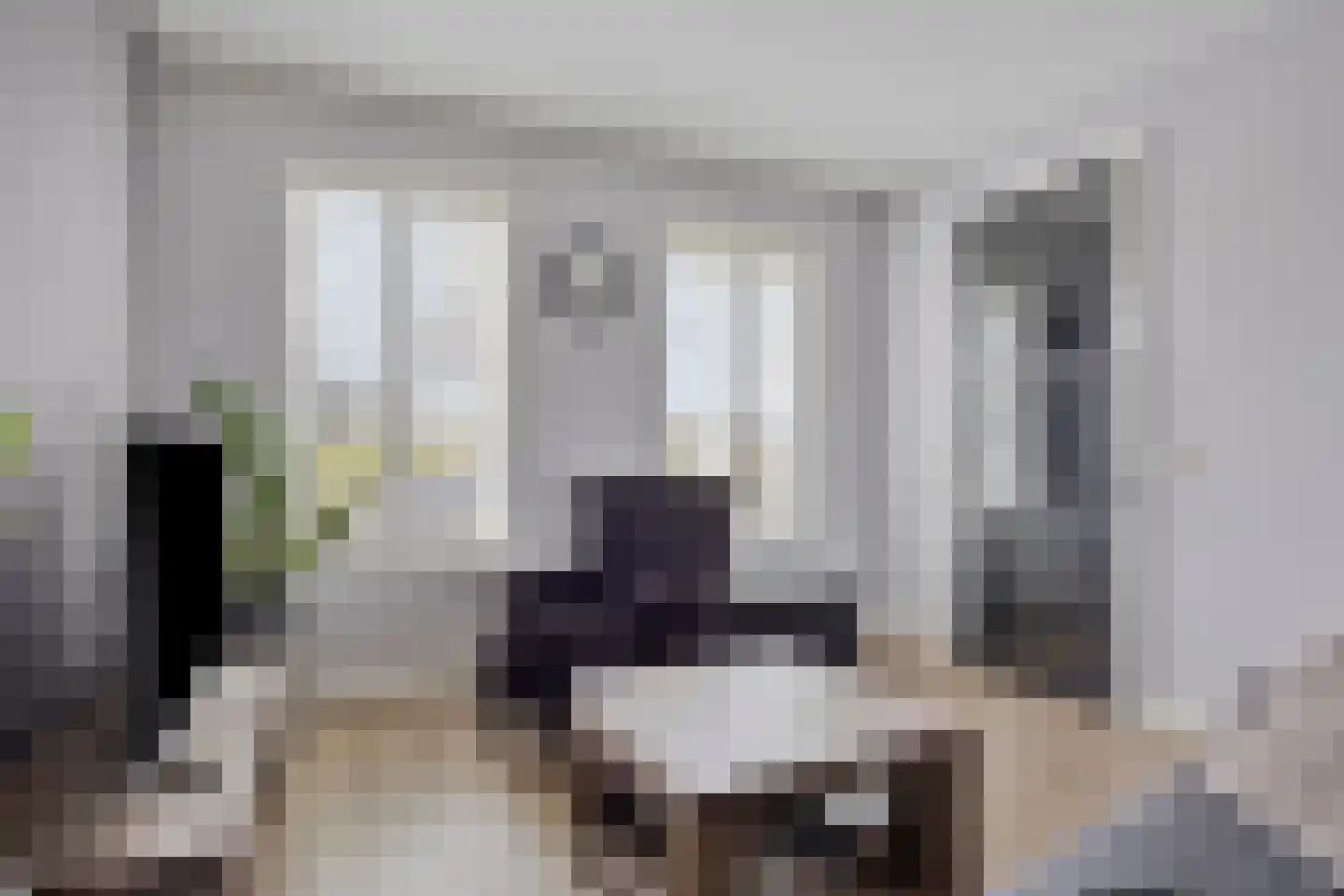 Wollegras 32 Boekel thumbnail 8