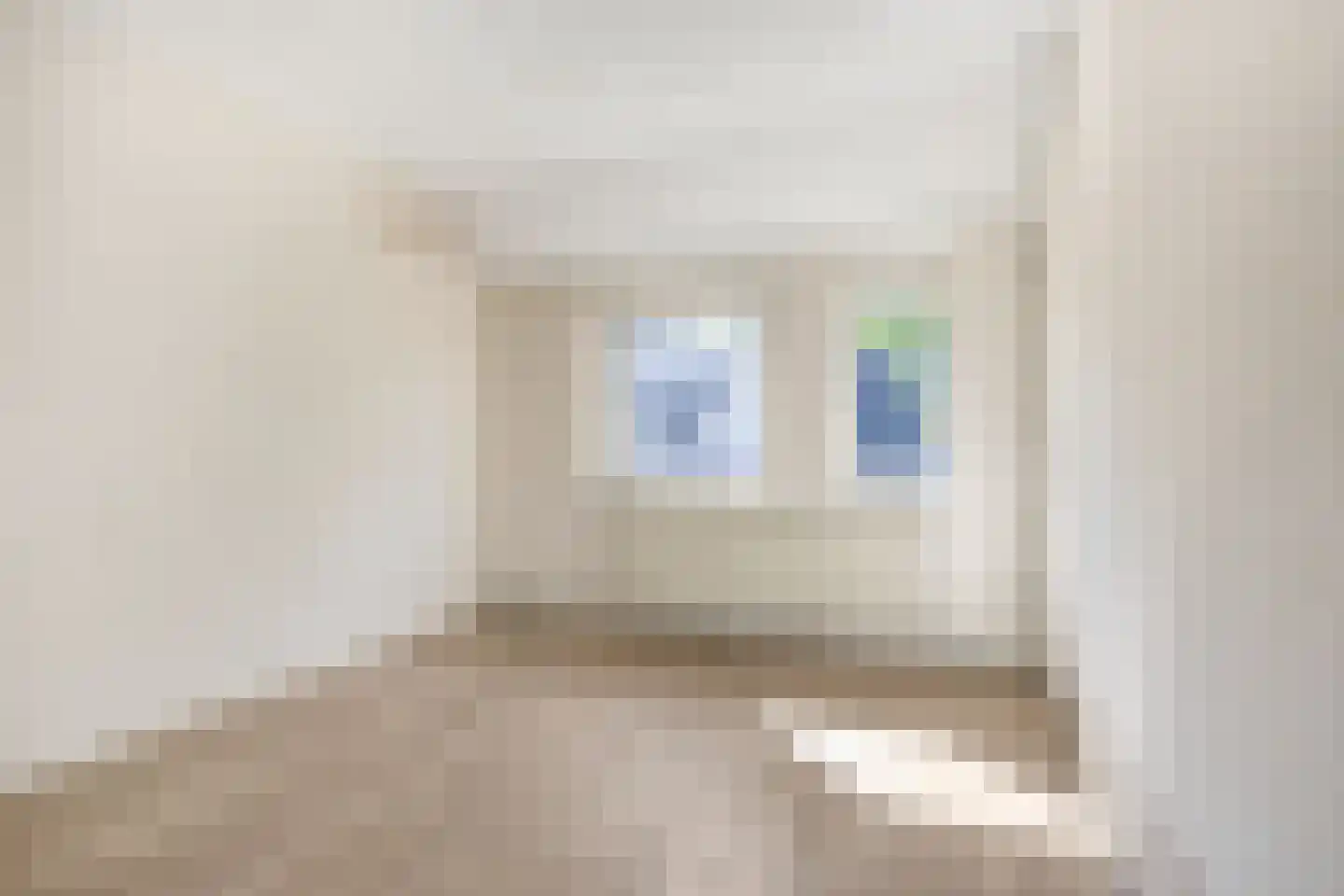 Wollegras 37 Deurne thumbnail 11